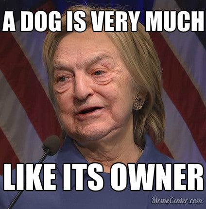 A dog is very much like its owner #Soros #Hillary #Hilldawg